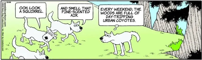 The Other Coast for Jun 04, 2022