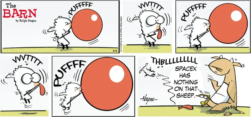 The Barn for Jun 06, 2021