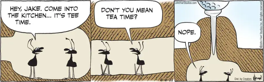 B.C. for Jun 06, 2022