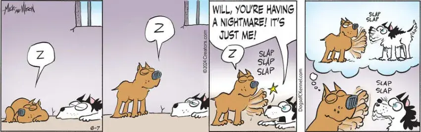 Dogs of C-Kennel for Jun 07, 2024