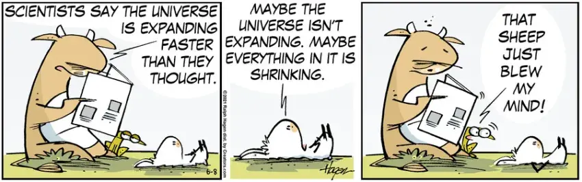 The Barn for Jun 08, 2021