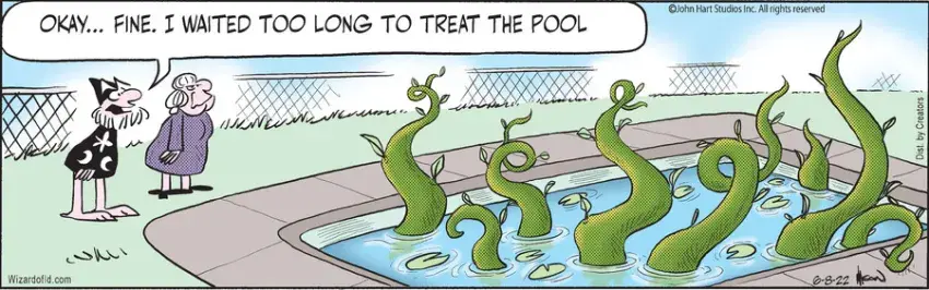 Wizard of Id for Jun 08, 2022