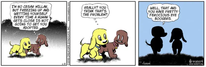 Dog Eat Doug for Jun 08, 2023