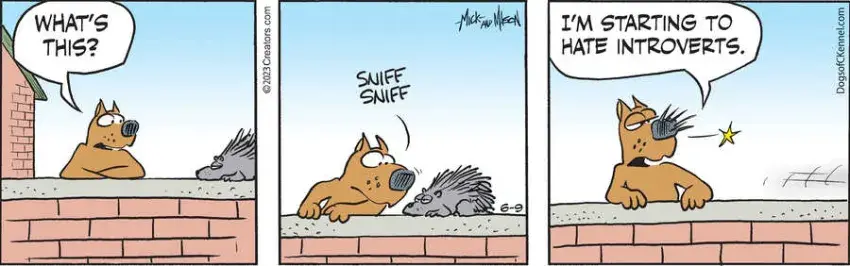 Dogs of C-Kennel for Jun 09, 2023