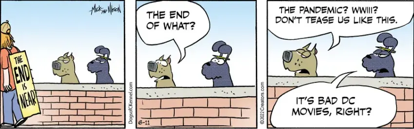 Dogs of C-Kennel for Jun 11, 2022