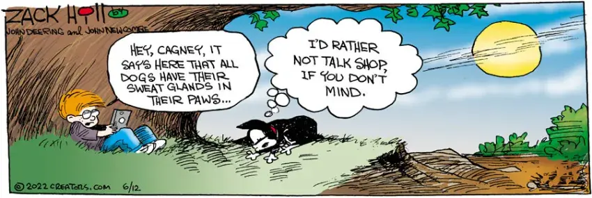 Zack Hill for Jun 12, 2022