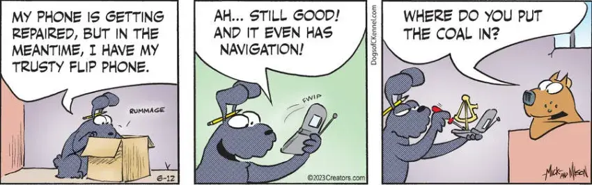 Dogs of C-Kennel for Jun 12, 2023