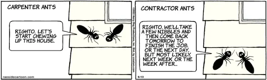 The Other Coast for Jun 13, 2022