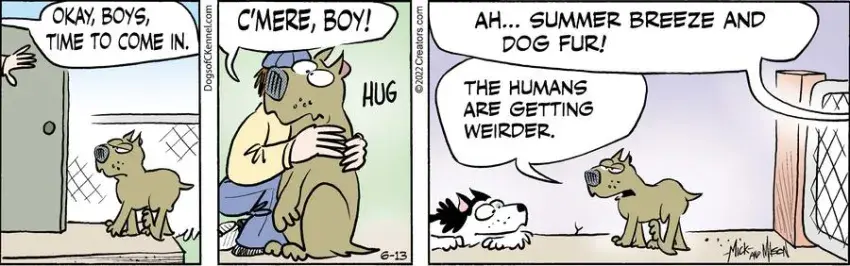 Dogs of C-Kennel for Jun 13, 2022
