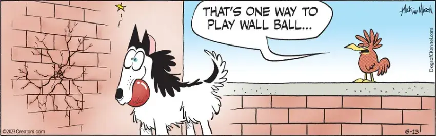 Dogs of C-Kennel for Jun 13, 2023