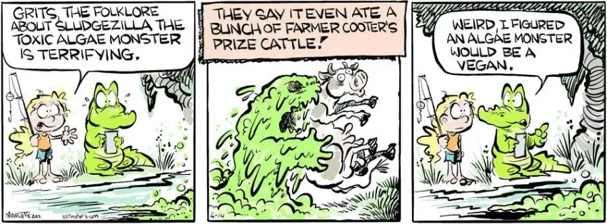 Shrimp and Grits for Jun 14, 2022