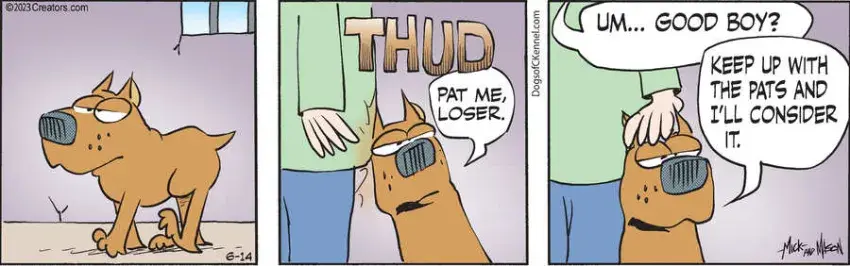 Dogs of C-Kennel for Jun 14, 2023