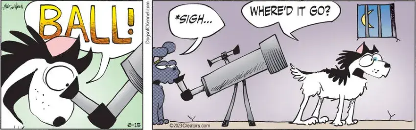 Dogs of C-Kennel for Jun 15, 2023