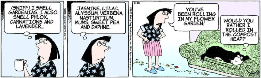 The Other Coast for Jun 15, 2023