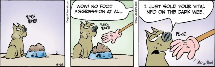 Dogs of C-Kennel for Jun 16, 2022