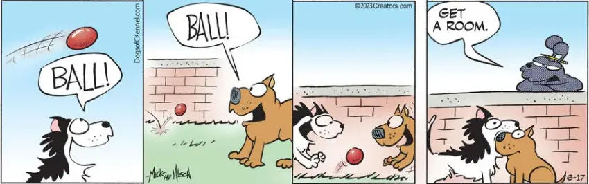 Dogs of C-Kennel for Jun 17, 2023