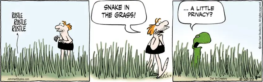 B.C. for Jun 18, 2022