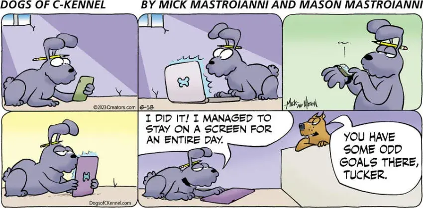 Dogs of C-Kennel for Jun 18, 2023