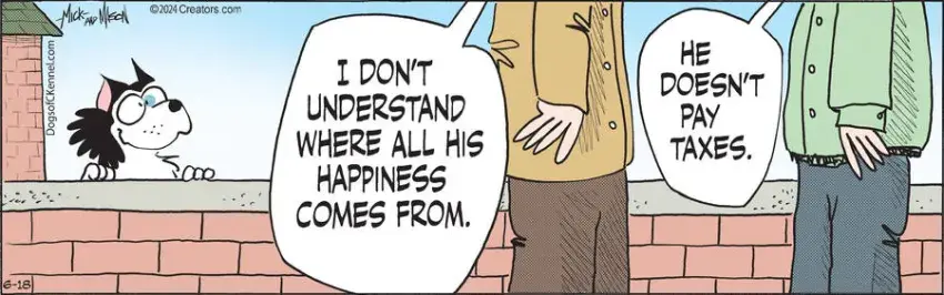 Dogs of C-Kennel for Jun 18, 2024