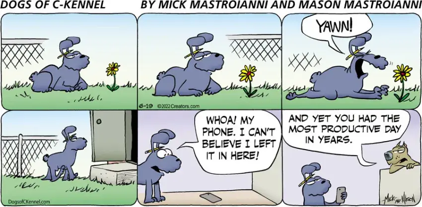 Dogs of C-Kennel for Jun 19, 2022