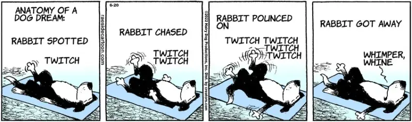 The Other Coast for Jun 20, 2022