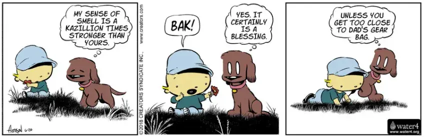 Dog Eat Doug for Jun 20, 2023