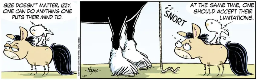 The Barn for Jun 22, 2022