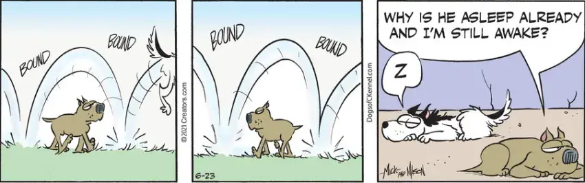 Dogs of C-Kennel for Jun 23, 2021
