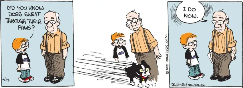 Zack Hill for Jun 23, 2021