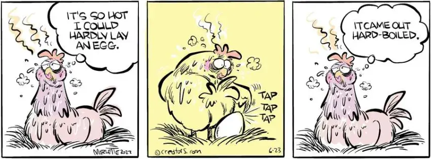 Shrimp and Grits for Jun 23, 2022