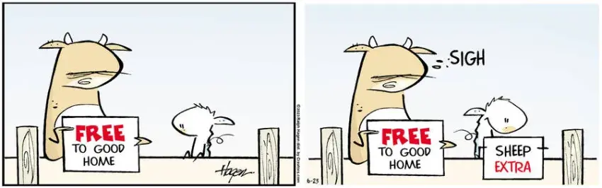 The Barn for Jun 23, 2023