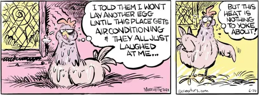 Shrimp and Grits for Jun 24, 2022