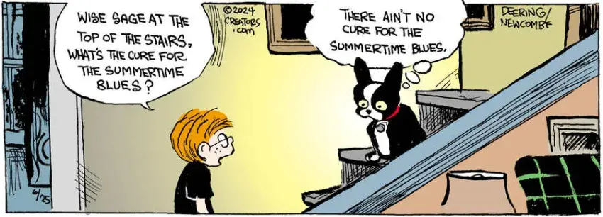 Zack Hill for Jun 25, 2024