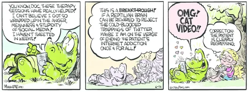 Shrimp and Grits for Jun 26, 2021