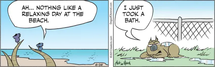 Dogs of C-Kennel for Jun 26, 2021