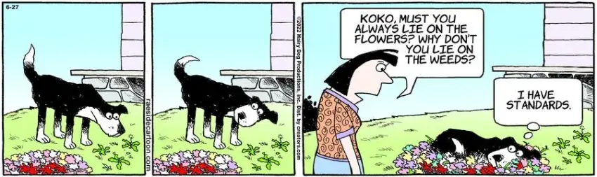 The Other Coast for Jun 27, 2022