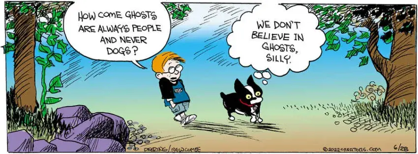 Zack Hill for Jun 28, 2022