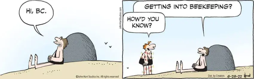 B.C. for Jun 28, 2022