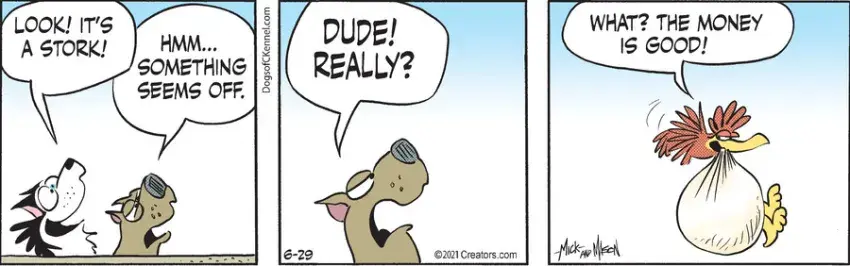 Dogs of C-Kennel for Jun 29, 2021