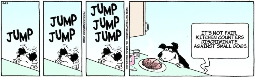 The Other Coast for Jun 29, 2022