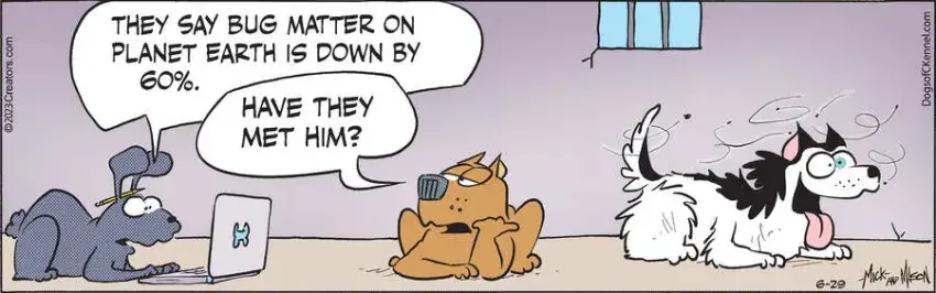 Dogs of C-Kennel for Jun 29, 2023
