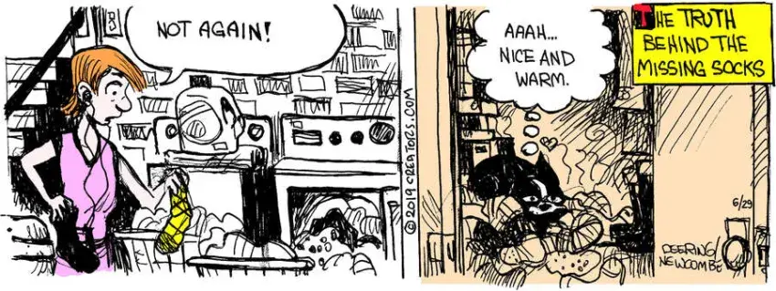 Zack Hill for Jun 29, 2023