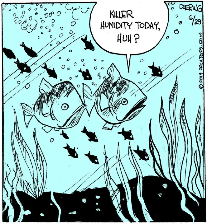 Strange Brew for Jun 29, 2023