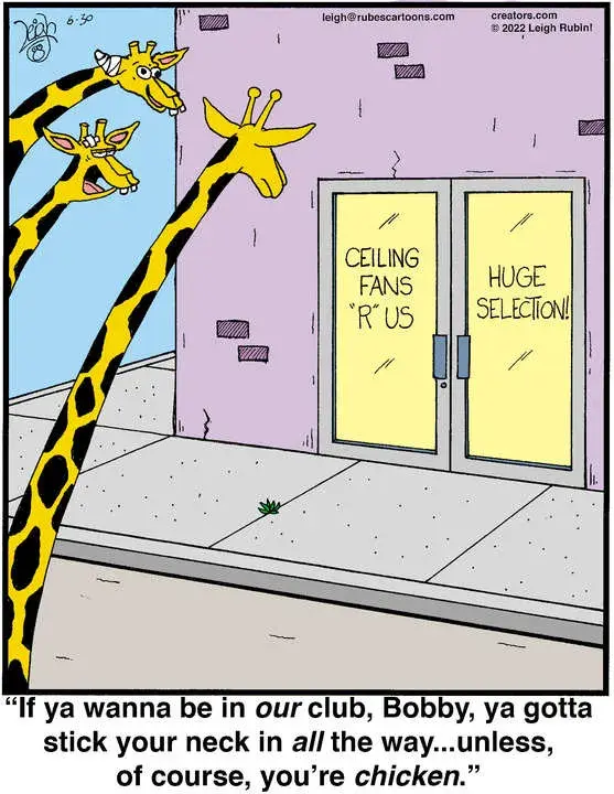 Rubes® for Jun 30, 2022