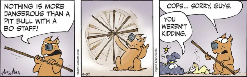 Dogs of C-Kennel for Jun 30, 2023