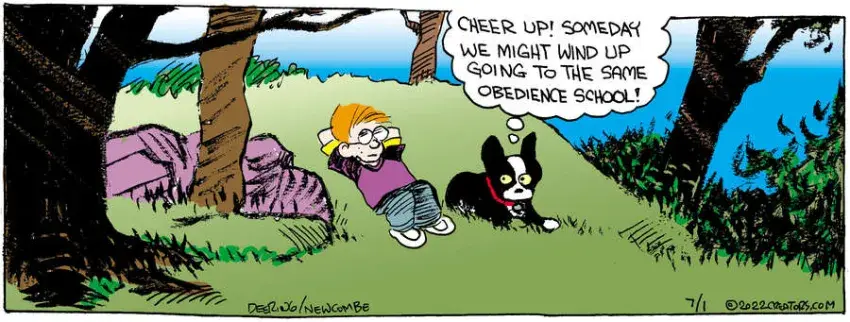 Zack Hill for Jul 01, 2022