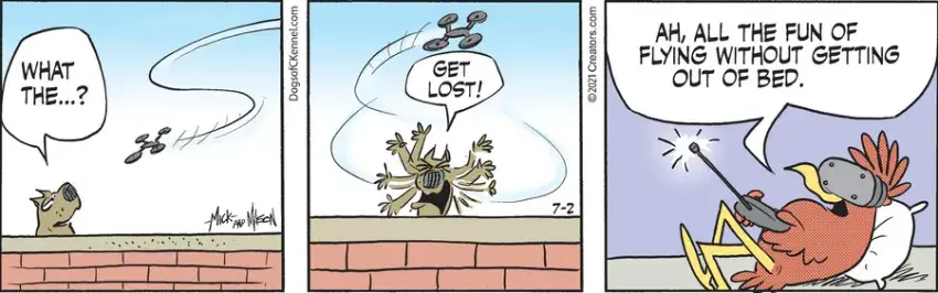 Dogs of C-Kennel for Jul 02, 2021