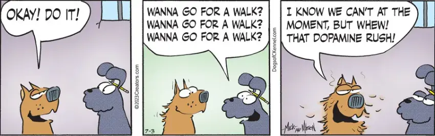 Dogs of C-Kennel for Jul 03, 2023