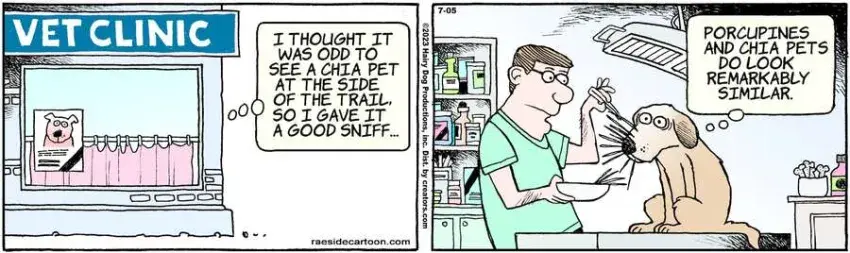 The Other Coast for Jul 05, 2023