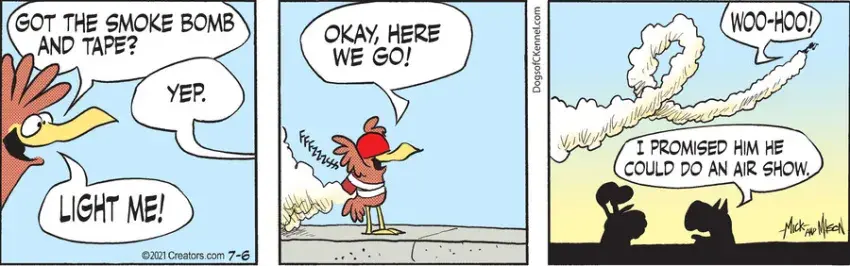 Dogs of C-Kennel for Jul 06, 2021